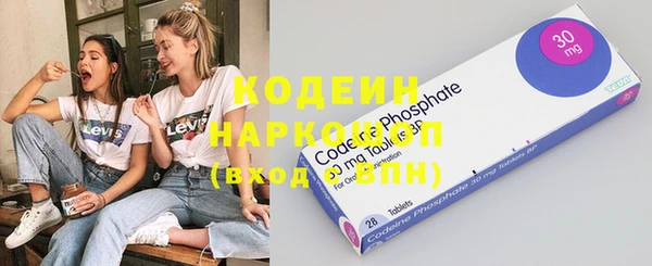 мдпв Елизово