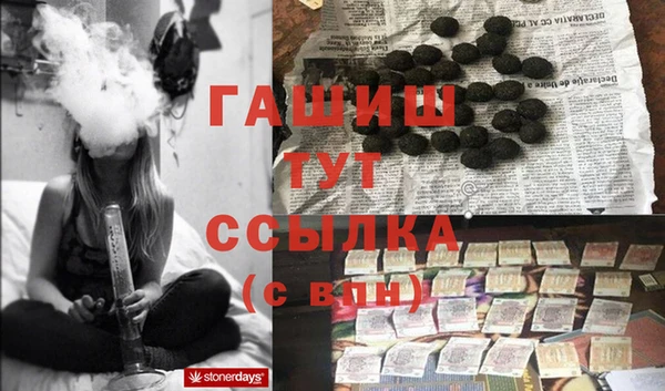 гидра Дмитров