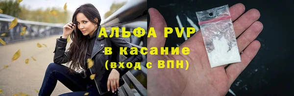 гидра Дмитров