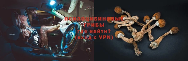 гидра Дмитров