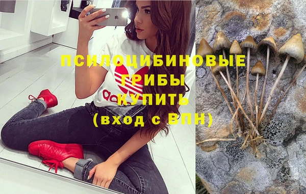 тгк Дмитровск