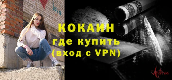 гидра Дмитров
