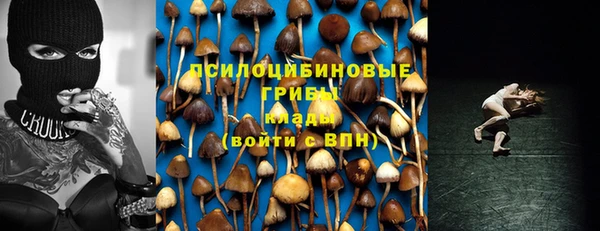 MESCALINE Дмитриев