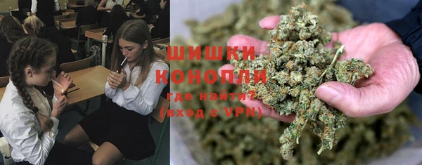 тгк Дмитровск