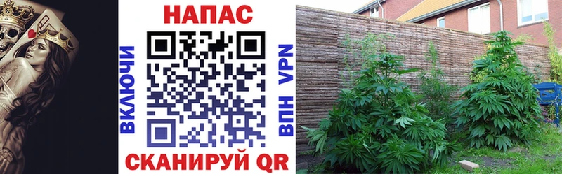 Канабис VHQ  Северодвинск 